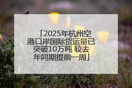 2025年杭州空港口岸国际货运量已突破10万吨 较去年同期提前一周