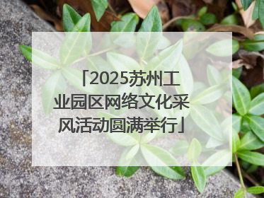 2025苏州工业园区网络文化采风活动圆满举行