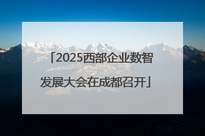 2025西部企业数智发展大会在成都召开