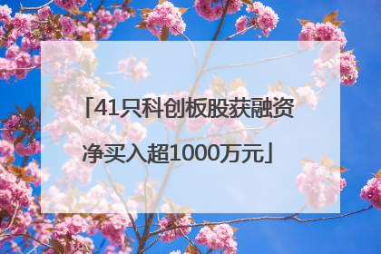 41只科创板股获融资净买入超1000万元