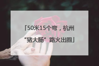 50米15个弯，杭州“猪大肠”路火出圈