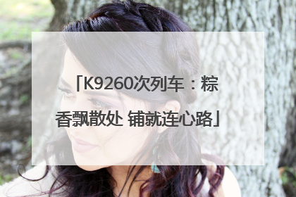 K9260次列车：粽香飘散处 铺就连心路