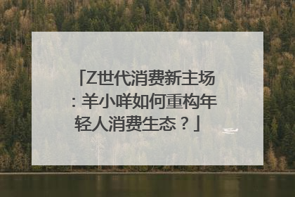 Z世代消费新主场：羊小咩如何重构年轻人消费生态？
